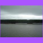 Mississippi River Bank.jpg